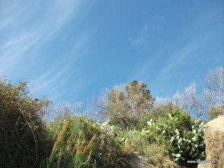 Acque_Grandi - 06-11-2012 08-46-15.JPG